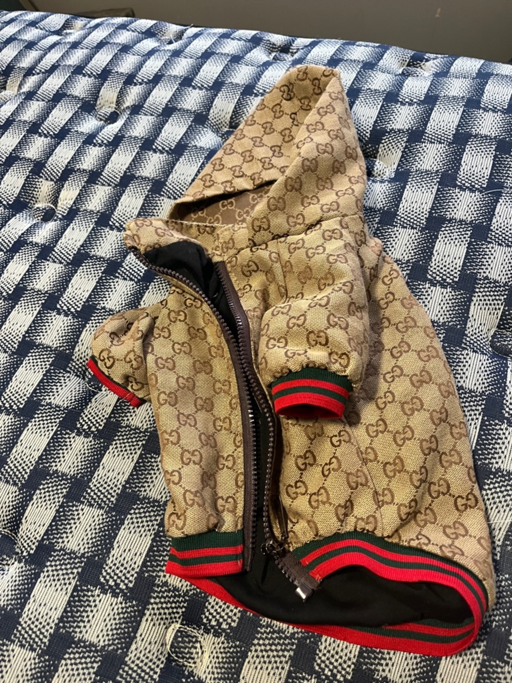 Gucci Beige GG Monogram Pet Hoodie with Red & Green Stripes